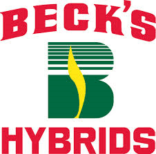 Becks-Hybrids