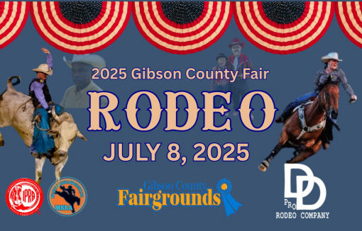D-D-Pro-Rodeo
