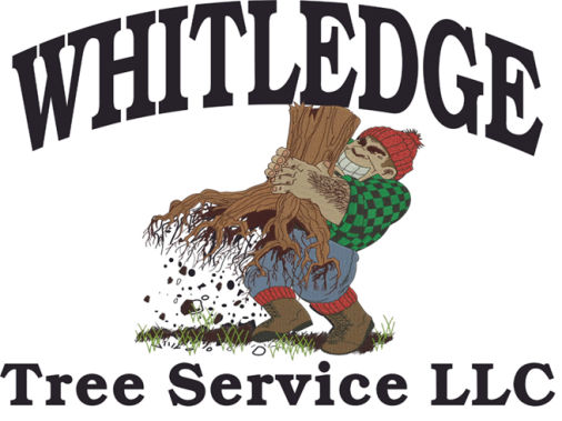Whitledge-Tree-Service